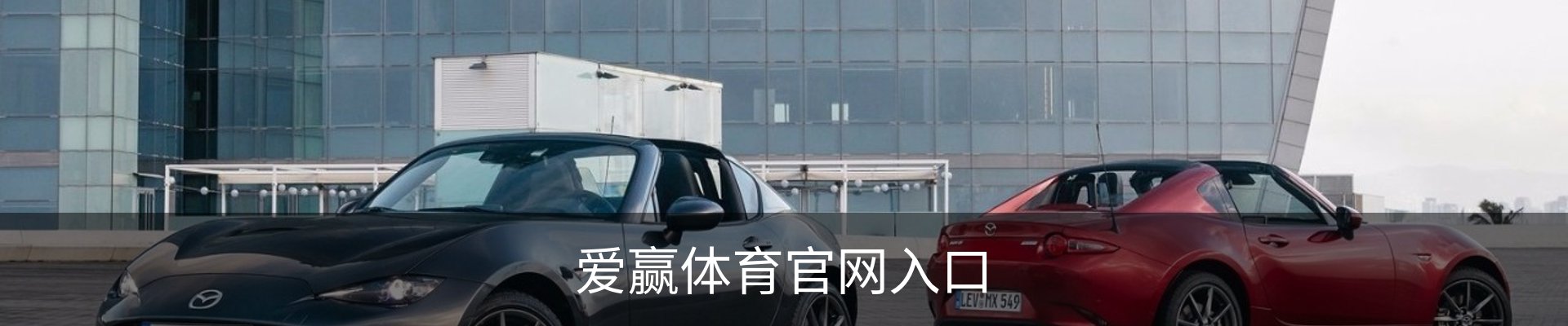 爱赢体育(中国)官方网站